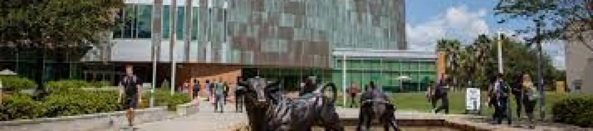 World Languages and Cultures with East Asian Languages and Cultures Concentration